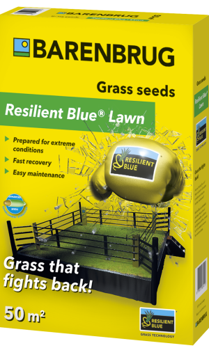 Barenbrug Resilient Blue Lawn 1kg graszaad