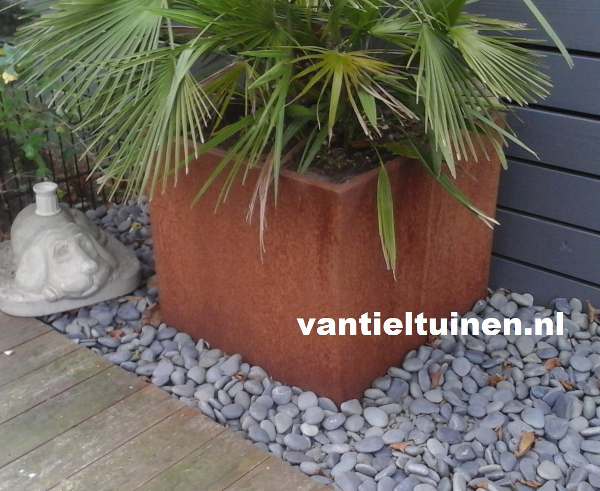 Plantenbak zonder bodem van cortenstaal maat 120x120x40cmLxBxH