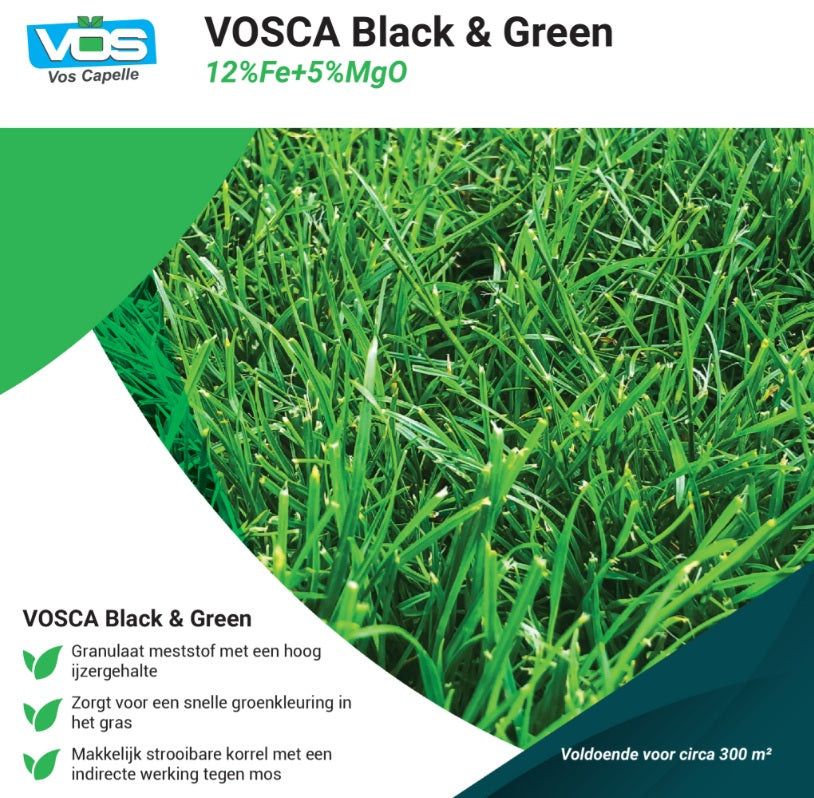 VOSCA Black&Green